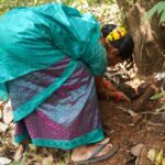 previous thumbnail